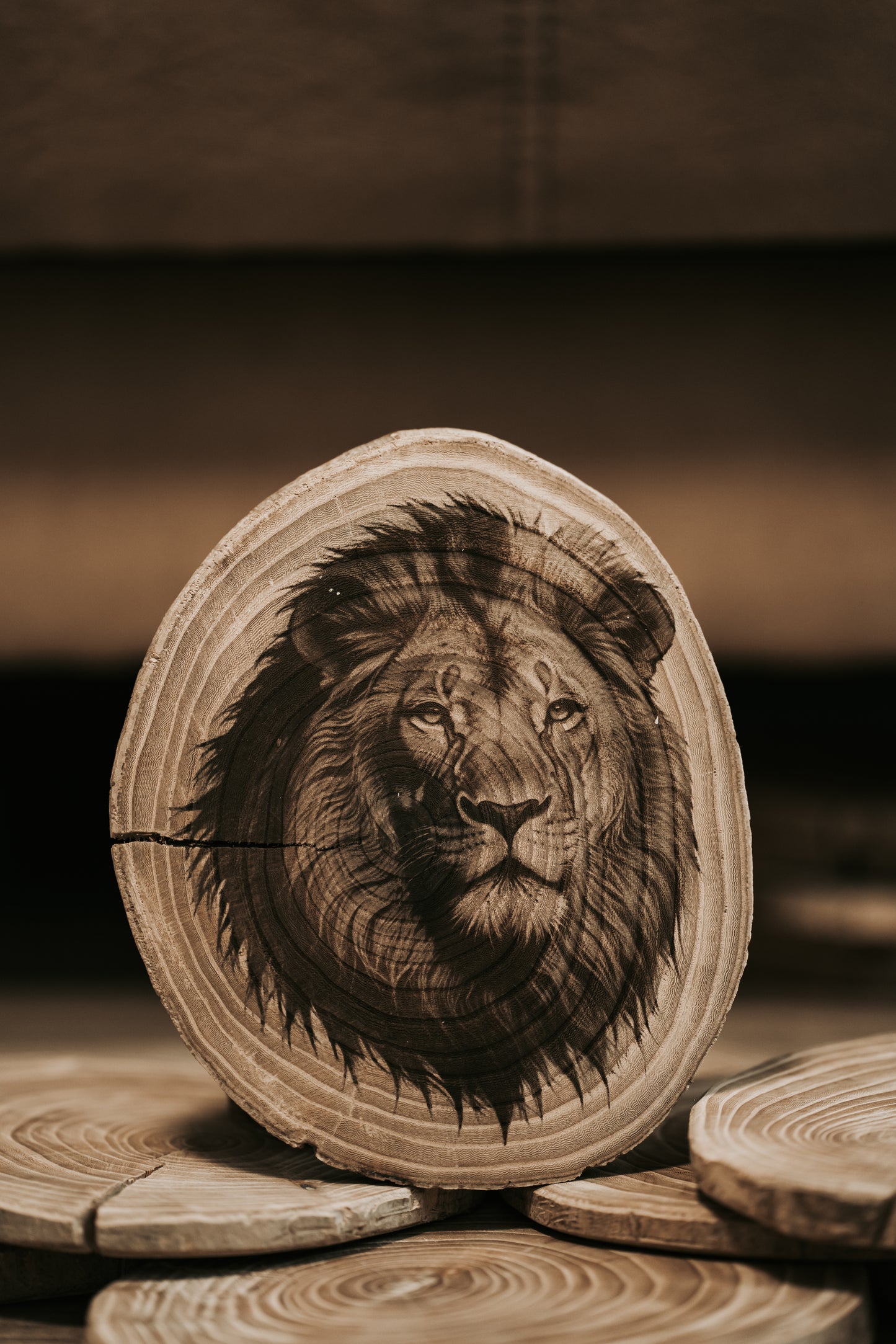 Gravírozott fa korong, oroszlán mintával